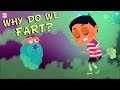 Why Do We Fart? - The Dr. Binocs Show | Best Learning Videos For Kids | Peekaboo Kidz