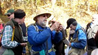 preview picture of video 'Foraging with Wildman Steve Brill at Tarrywile Park in Danbury Ct. on 10/31/2010'