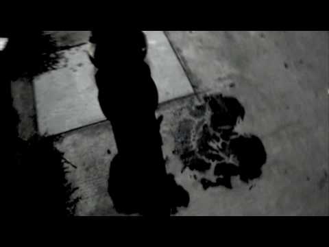 Twirls and spins make Mothmary win