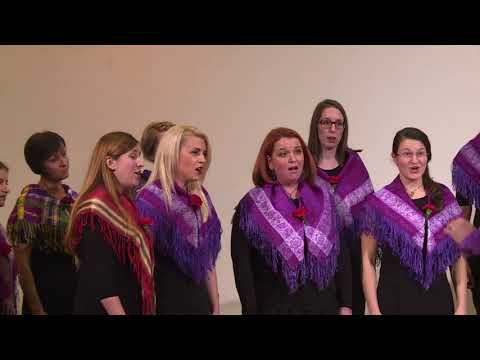 Moj fantič je prijezdil