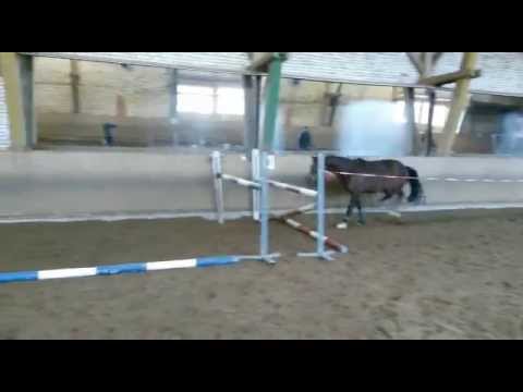 Freispringen Felipa Neu