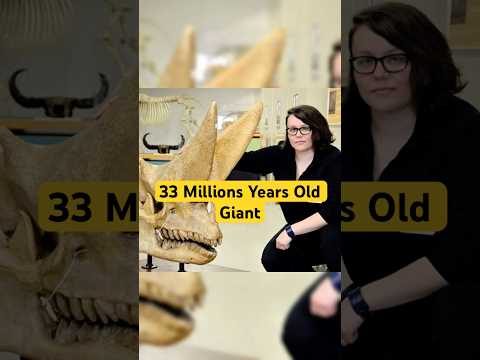 Meet the ancient beast that looked like a rhino... but isn't!