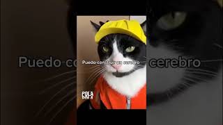 calle 13 - muerte en hawaii letra gratis