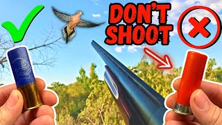 UNEXPECTED Late Season Georgia Dove Hunt...DO NOT SHOOT THESE SHELLS!