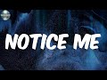 Notice Me (Lyrics) - PnB Rock