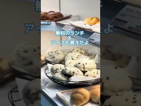 IPU・環太平洋大学 オープンキャンパス開催 8/18(日)　開催！