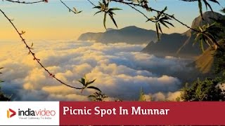 Top Station in Munnar, Idukki 