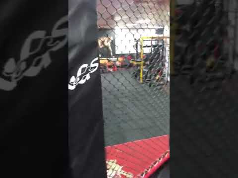 mixed martial arts mma fight cage