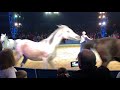Big Apple Circus Somerville Massachusetts 2018