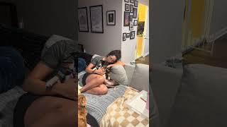 Video preview image #1 Miniature Pinscher-Unknown Mix Puppy For Sale in Rockville, MD, USA