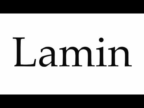 How to Pronounce Lamin