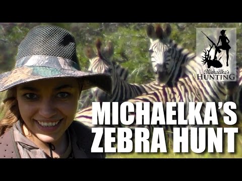 Michaelka’s Zebra Hunt Michaelka’s Zebra Hunt