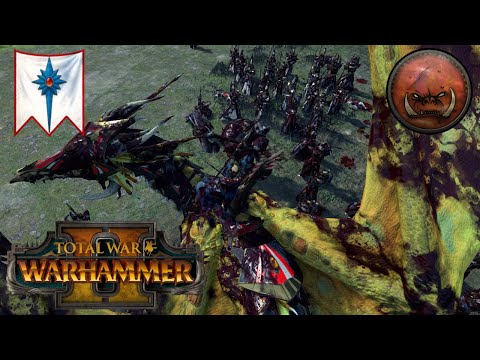 Swordmasters Vs Black Orcs. High Elves Vs Greenskins. Total War Warhammer 2, Multiplayer