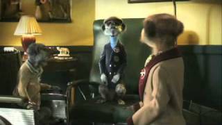 Compare The Meerkat - Commercial 10