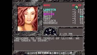 Let's Play Forgotten Realms Unlimited Adventures (SSI) - Episode 20 - An Elven River Village