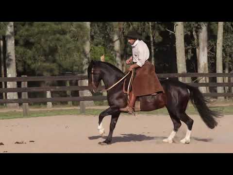 LAS CALLANAS LOS PUNTOS BUENOS