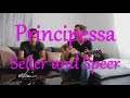 Seiler und Speer - Principessa | Cover by MSA Acoustics