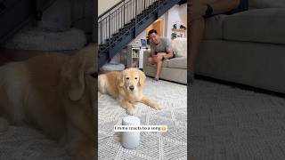 my dog doesn’t realize it’s just a song!