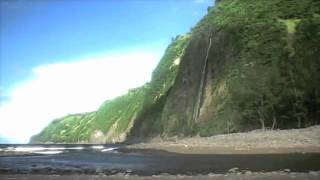 The Steppas - "Good Roots"