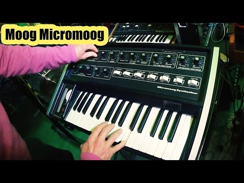 Moog Micromoog | Monophonic Analog Synthesizer