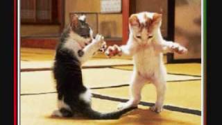 Move It Like This - Baha Men (with cool pics)