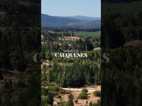 Etapa final de Viñas de Cauquenes, parcelas a $8.990.000.- 🌳
