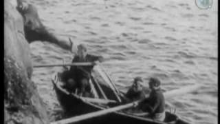 SCOTLAND- ST. KILDA 1908 - OUTER HEBRIDES - BIRDS - OLD FILM - RUNRIG