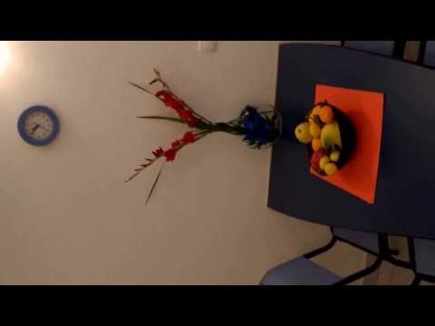 Apartments Rica Duće - Omiš 4A