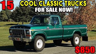 Cool & Collectible: 16 Classic Trucks Listed by Their Owners!