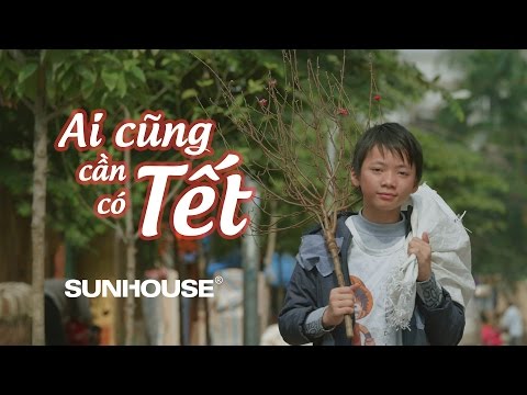 Phim ngắn Ai Cũng Cần Có Tết