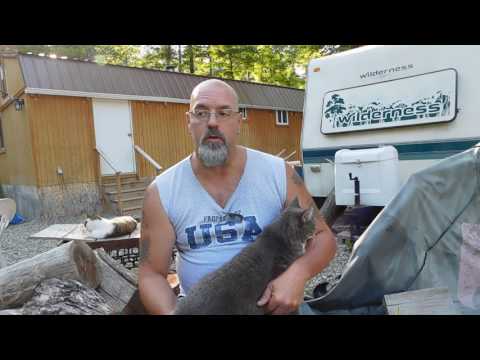 download lagu mp3 mp4 Why Is It Better To Buy Local Food, download lagu Why Is It Better To Buy Local Food gratis, unduh video klip Why Is It Better To Buy Local Food