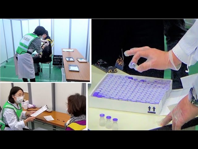 Video de pronunciación de 接種 en Japonés