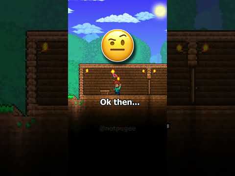 "2D Minecraft".. Seriously? 🤨#terraria #terrariaboss  #terrariaplaythrough