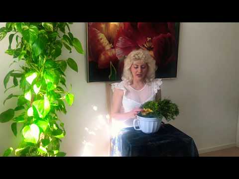 Nytt recept med ringblomma och tall