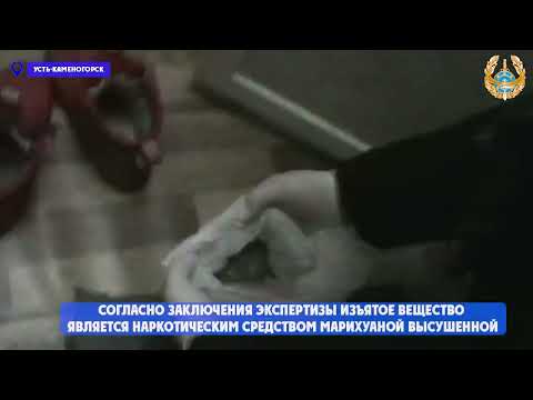 Яндекс — поиск по видео