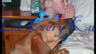 Newsboys "In Wonder" - Josie's video