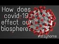 How does Covid-19 effect the biosphere?