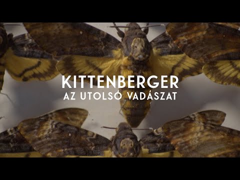 Kittenberger – Az utolsó vadászat