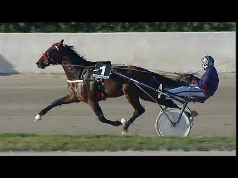 Napoli Trotto 17/03/2023 - 6ª corsa