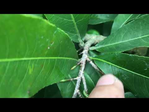 Những điều ae hay gặp trong giai đoạn tháng 8