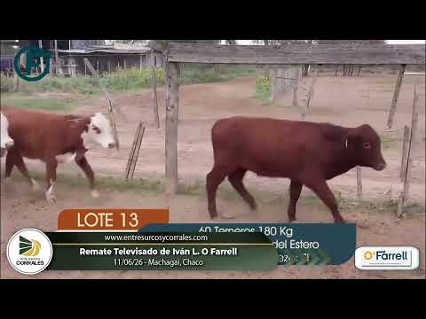 11-06-26 - RemateTelevisado de Iván L. O Farrell - Machagai, Chaco