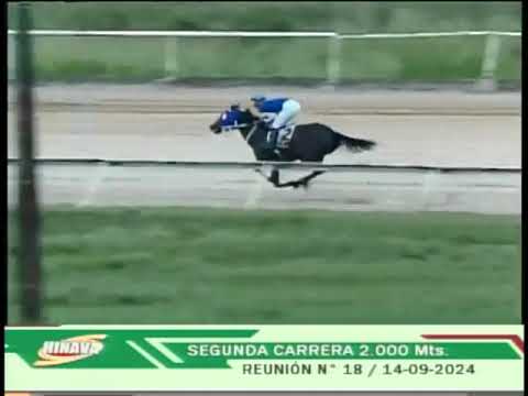 V138 | Clásico “Propietarios Valencianos” | Flecha Montón | Hipódromo Nacional de Valencia