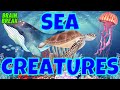 SEA CREATURES OCEAN ANIMALS WOULD YOU RATHER BRAIN BREAK EXERCISE FOR KIDS ANIMAL SERIES