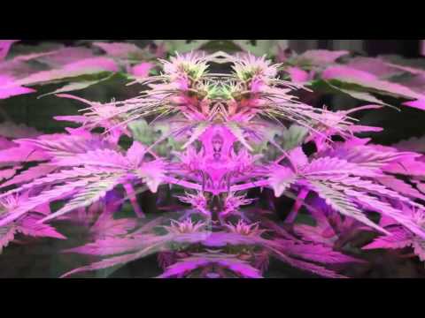 KolomB - Mary (ft. Sshogun) Prod. Big Bounce