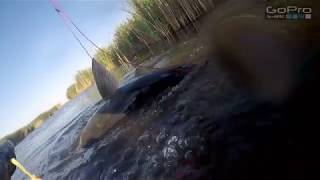 Подводная рыбалка в астрахани на раскатах