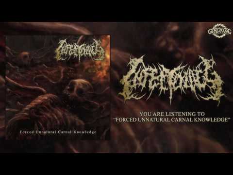 Infectology - Forced Unnatural Carnal Knowledge (Official Track)