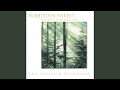 Tamarack Pines