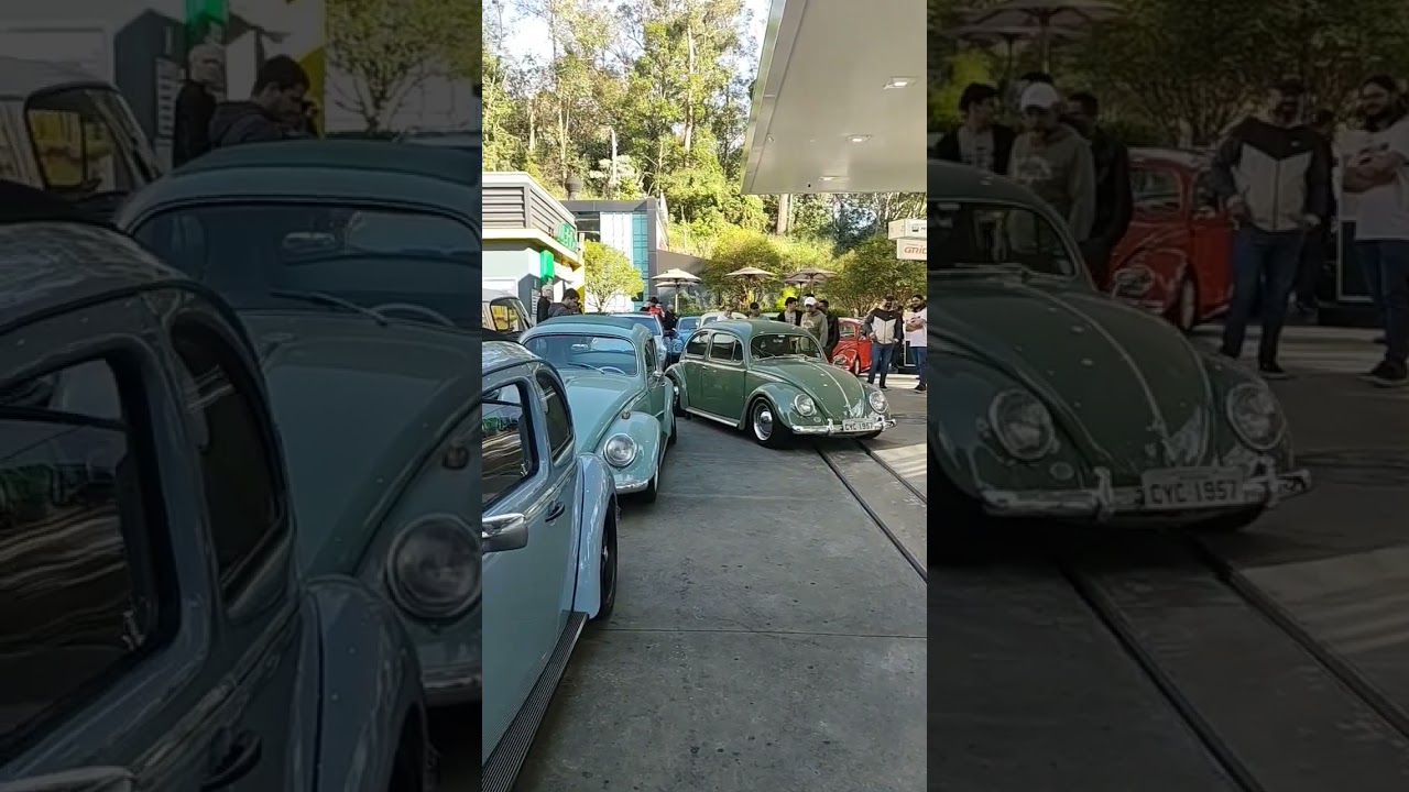 Belos exemplares! #carros #classicos #carrosantigos #aircooled #fusca #fuscaclub #volkswagen #viral