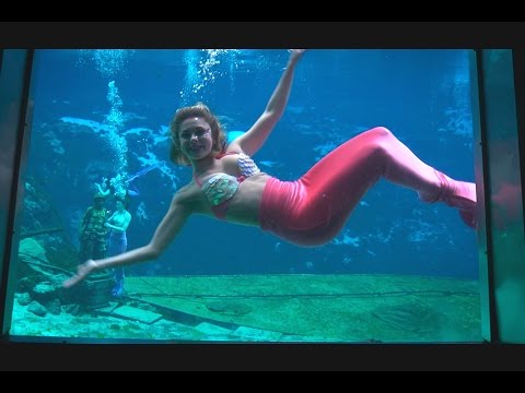 YouTube video about: How do mermaids breathe underwater?
