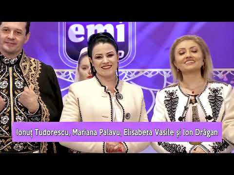 Brumariu si brumarel - Elisabeta Vasile, Ion Dragan, Mariana Palavu, Ionut Tudorescu